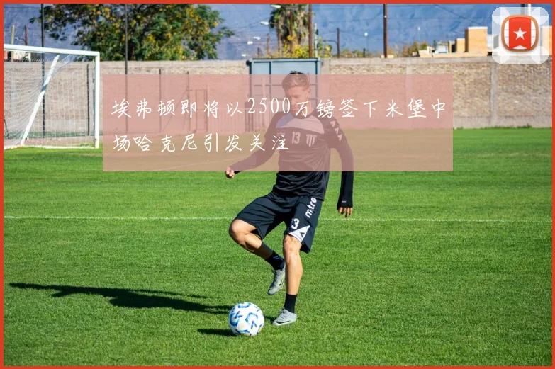 埃弗顿即将以2500万镑签下米堡中场哈克尼引发关注